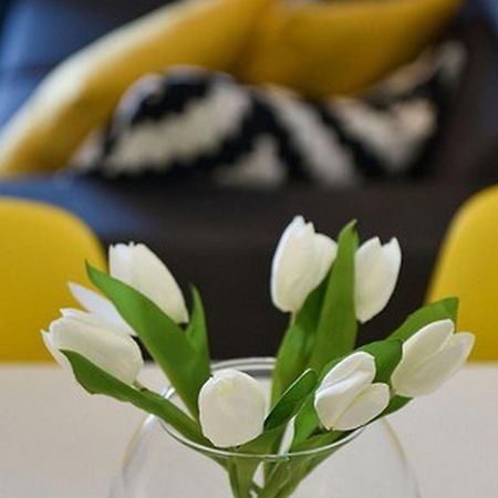 Mediterraneo Garden Apartments Petrcane Quarto foto